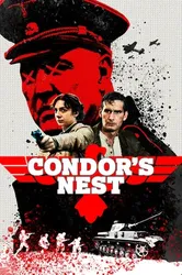 Condor's Nest